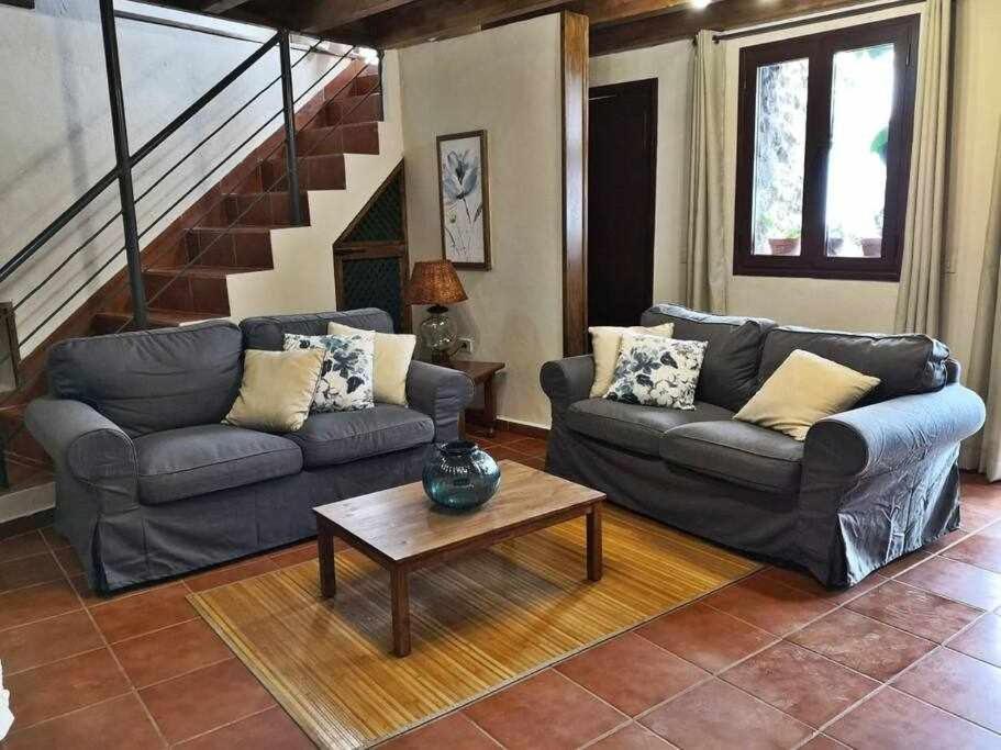 Tamarillos Villa Santa Cruz de Tenerife