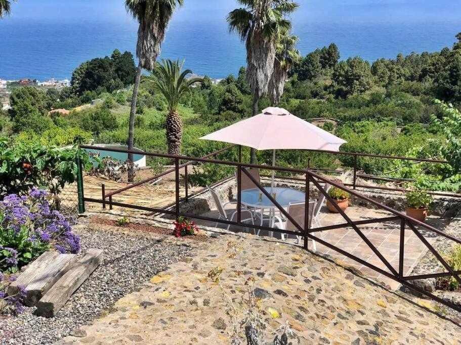 Tamarillos Villa Santa Cruz de Tenerife